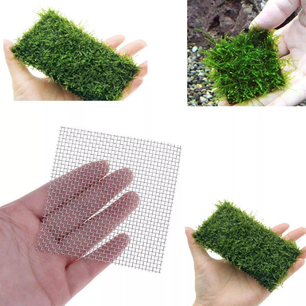 10Pcs Stainless Steel Wire Mesh For Water Plants Fish Tank Aquarium Decoration 8X8cm Decorations