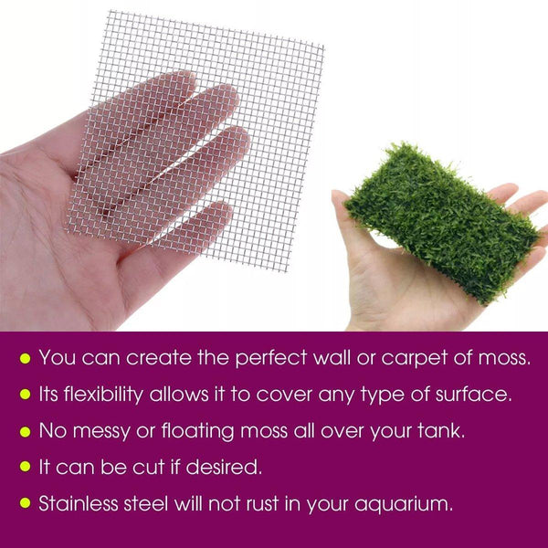 10Pcs Stainless Steel Wire Mesh For Water Plants Fish Tank Aquarium Decoration 8X8cm Decorations