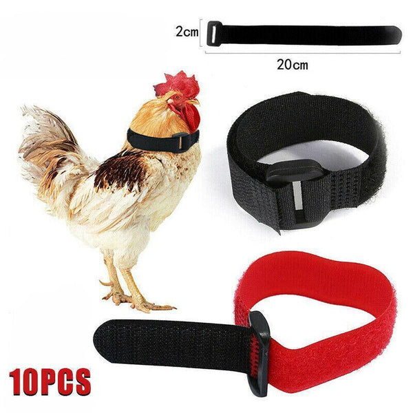 10Pcs Rooster Anti Crow Collar Adjustable Nylon Neck Belt Poultry Sound Control Red Small Animal Supplies
