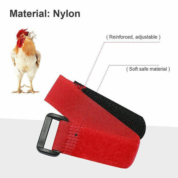 10Pcs Rooster Anti Crow Collar Adjustable Nylon Neck Belt Poultry Sound Control Red Small Animal Supplies