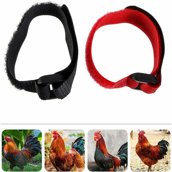 10Pcs Rooster Anti Crow Collar Adjustable Nylon Neck Belt Poultry Sound Control Red Small Animal Supplies