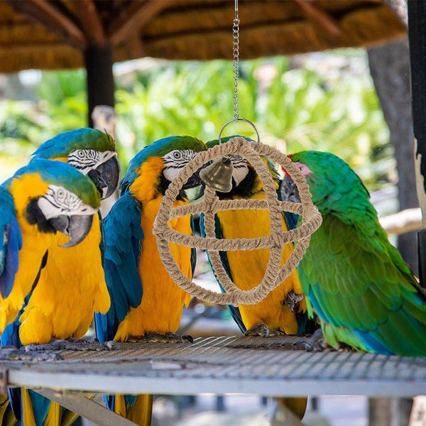 Interactive Parrot Toys Nibbling Balls Hoop Swing Bird Chew Play Activity Birds Toys