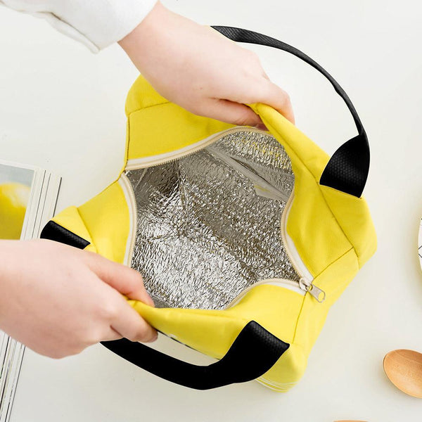 Insulated Thermal Lunch Box Carry Tote Picnic Case Storage Bag 21X17x15cm Style C02 Lunchboxes