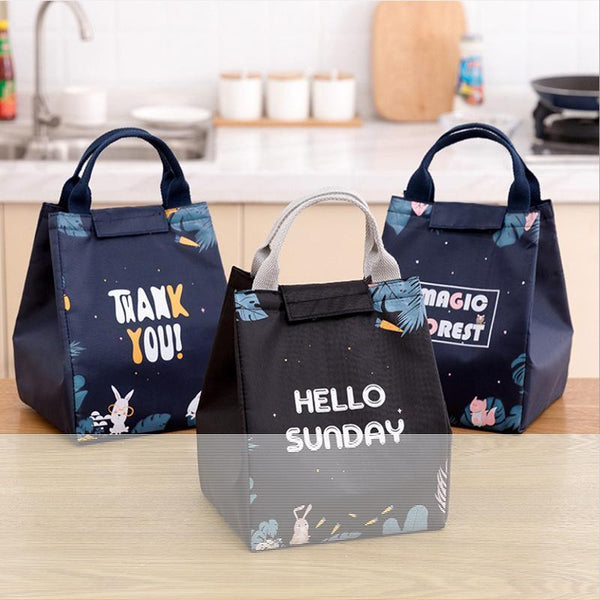 Insulated Thermal Lunch Box Carry Tote Picnic Case Storage Bag 18X24x15cm Style E07 Lunchboxes
