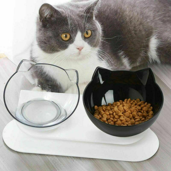 Double Cat Dog Bowl Elevated Pet Feeder Stand Raised Food Water Feeding Dish Black+Black Dishes Feeders & Fountains