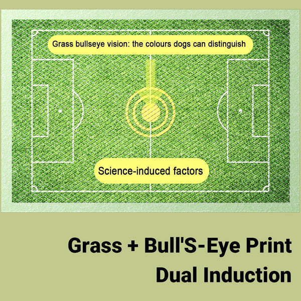 Pet Urinal Pads For Dogs Bullseye Diaper Leakproof Training Size 50Pcs Puppy Training Pads