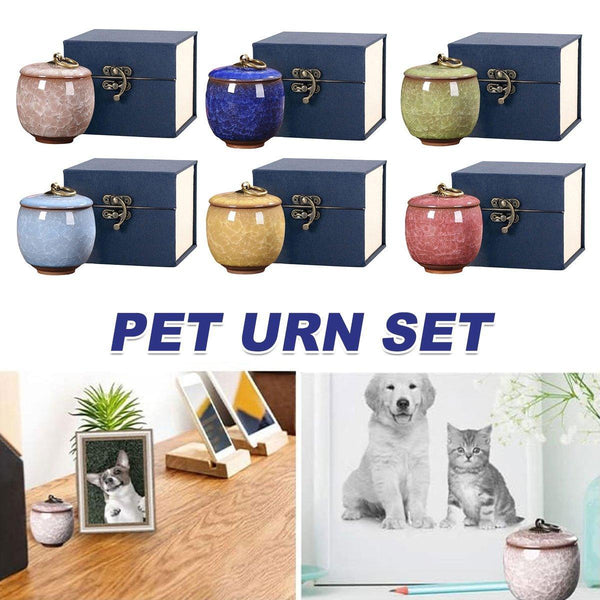 Small Pet Urn For Ashes Memorial Keepsake Urns Dog Cat Cremation Remains Blue Placeholder