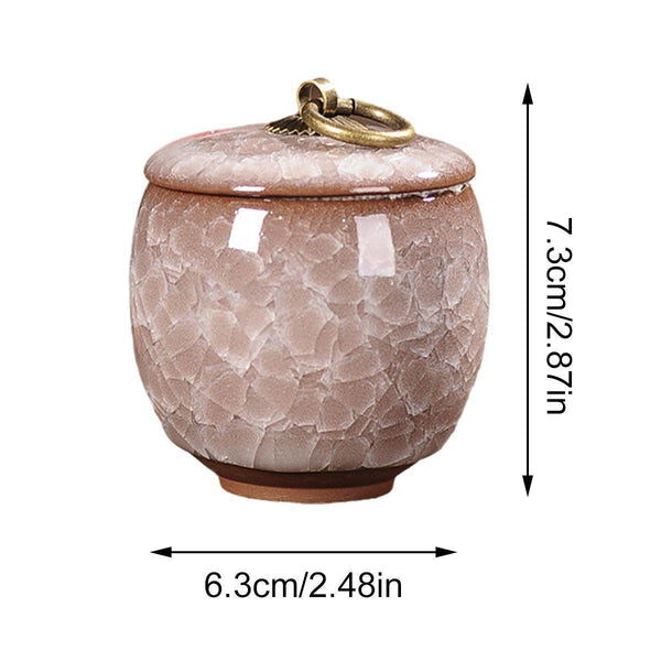 Small Pet Urn For Ashes Memorial Keepsake Urns Dog Cat Cremation Remains Sky Blue Placeholder