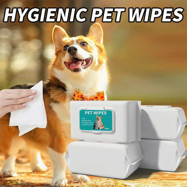 Pet Ear Cleaning Wipes Dogs Cats Gentle Care Healthy Ears Dog Grooming