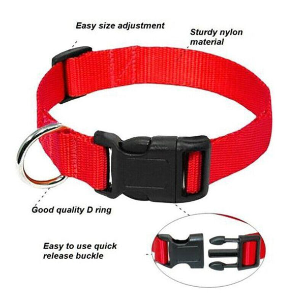 L Size Dog Puppy Pet Collar Adjustable Nylon Toy Large Pink Blue Red Black Dog Collars
