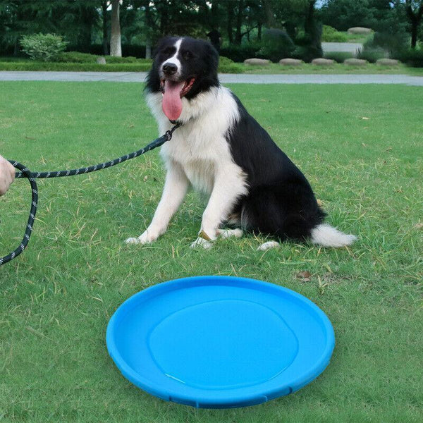 Frisbee Toy For Dogs Outdoor Fetch Training Soft Rubber Pet Flying Disc 18Cm Blue Dog Toys