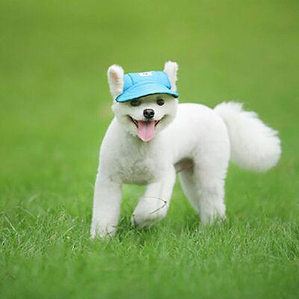 Dog Baseball Cap Outdoor Pet Sun Hat Summer Canvas Visor Puppy Xl Denim Blue Dog Clothing & Shoes