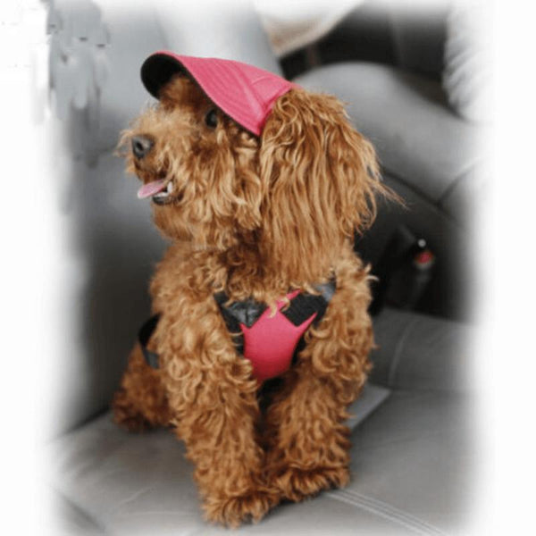 Dog Baseball Cap Outdoor Pet Sun Hat Summer Canvas Visor Puppy M Size Red Dog Clothing & Shoes