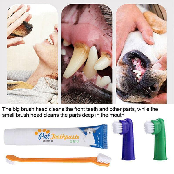 Pet Dog Teeth Cleaning Toothpaste With Toothbrush And Backup Brush Vanilla Flavoured Oral Hygiene