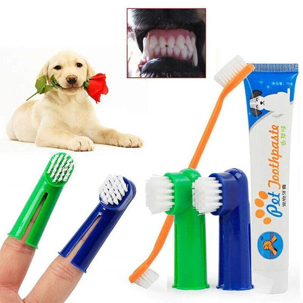 Pet Dog Teeth Cleaning Toothpaste With Toothbrush And Backup Brush Vanilla Flavoured Oral Hygiene