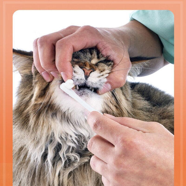 Pet Toothbrush Toothpaste Set For Cats And Dogs Vanilla Flavor Oral Care Kit Oral Hygiene