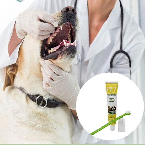 Pet Dog Cat Toothpaste And Toothbrush Set Beef Flavor Oral Hygiene