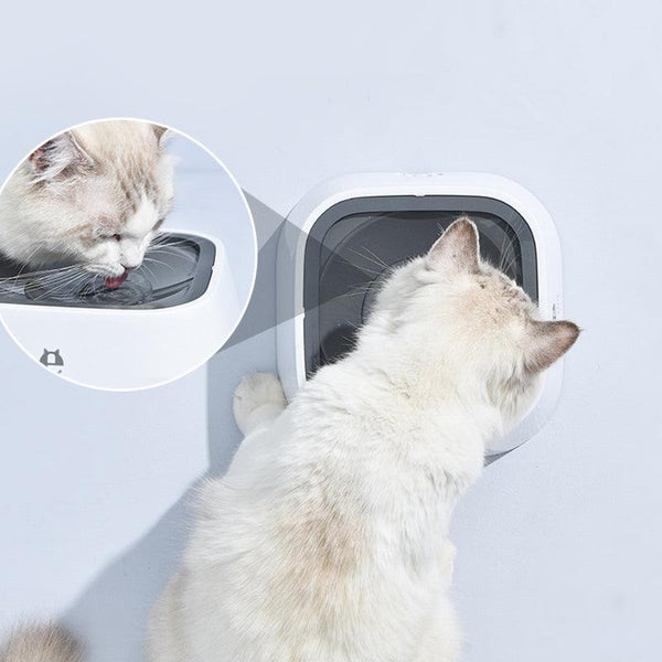 1.5L Pet Water Bowl No Spill Design Slow Drinking Feeder With Non Slip Base Pink Dog Bowls