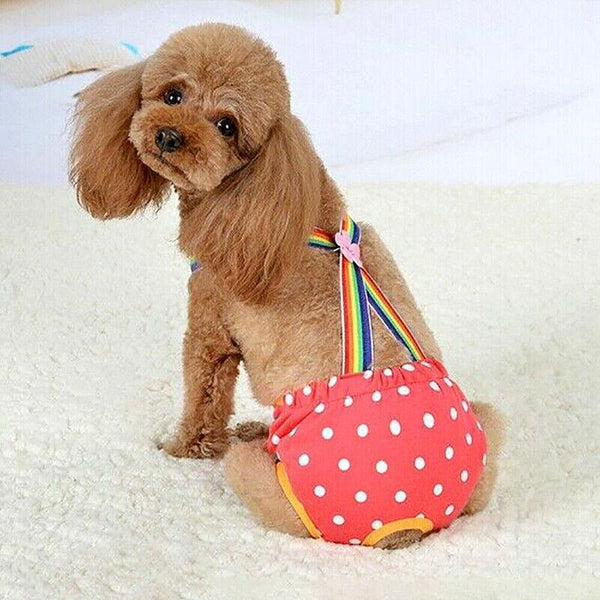 Female Pet Dog Cat Puppy Pant Menstrual Sanitary Nappy Diaper Wrap Underwear Blue Xxs Dog Clothing & Shoes