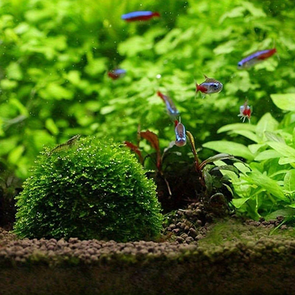 3Pcs Aquarium Plastic Moss Ball Fish Decoration Aquatic Plant Accessories Decorations