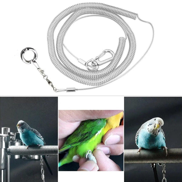Parrot Leg Ring Anti Slip Bird Anklet Elastic Rope With Alloy Fasteners Supplies 4Mm Small Animal Supplies