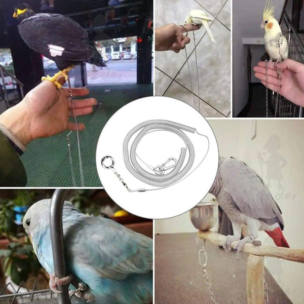 Parrot Leg Ring Anti Slip Bird Anklet Elastic Rope With Alloy Fasteners Supplies Birds Toys