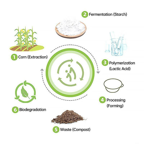 50Pcs Biodegradable Corn Starch Lunch Box Round Takeout Containers Eco Friendly 900Ml Lunchboxes