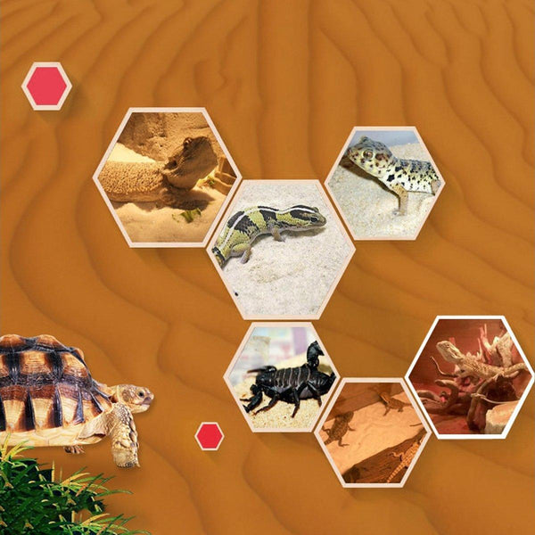 Pet Sand For Tortoises Snakes Lizards Spiders Multi Colour Reptile Habitat Decor Red Reptiles