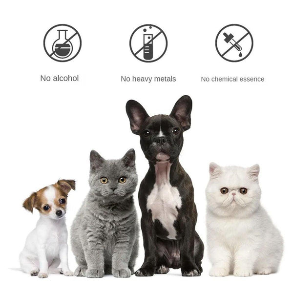 Pet Body Soap Bath Lotion Hair Protecting Knotted Cat Dog Shampoo Conditioner 300Ml Dog Grooming