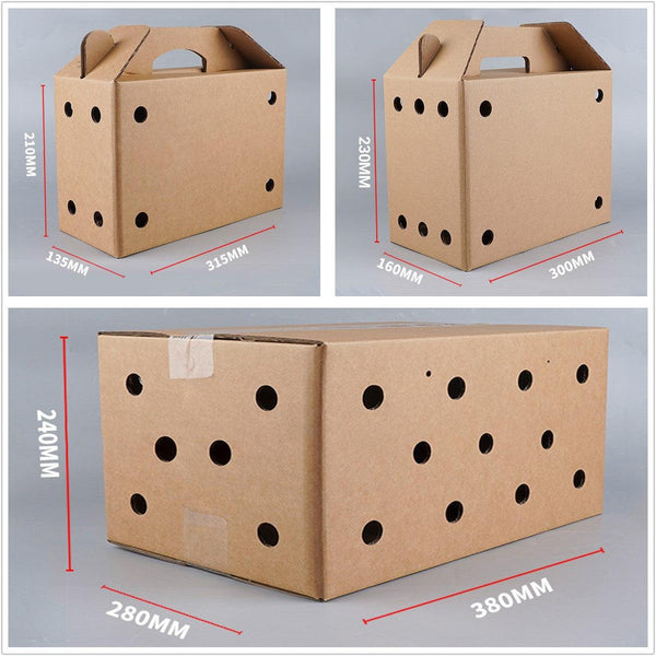 10Pcs Disposable Cardboard Pet Carrier 3 Sizes For Small Animals 38X28x24cm Pet Transport