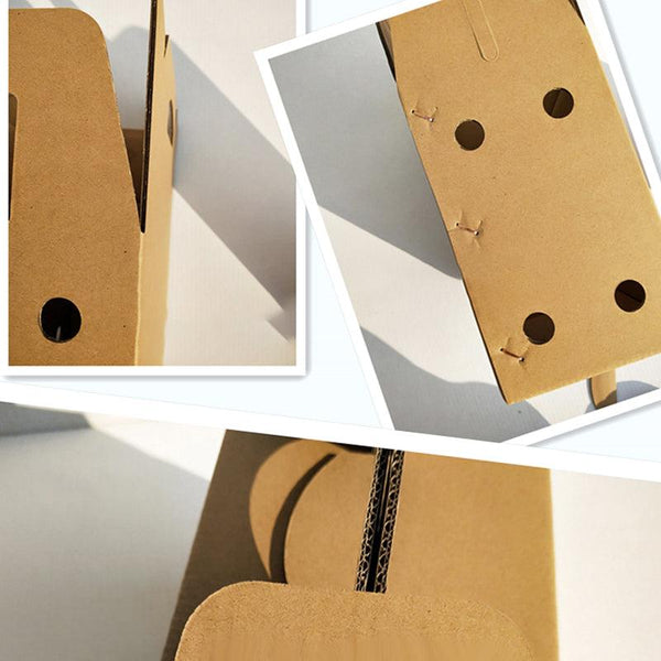 10Pcs Disposable Cardboard Pet Carrier 3 Sizes For Small Animals 38X28x24cm Pet Transport