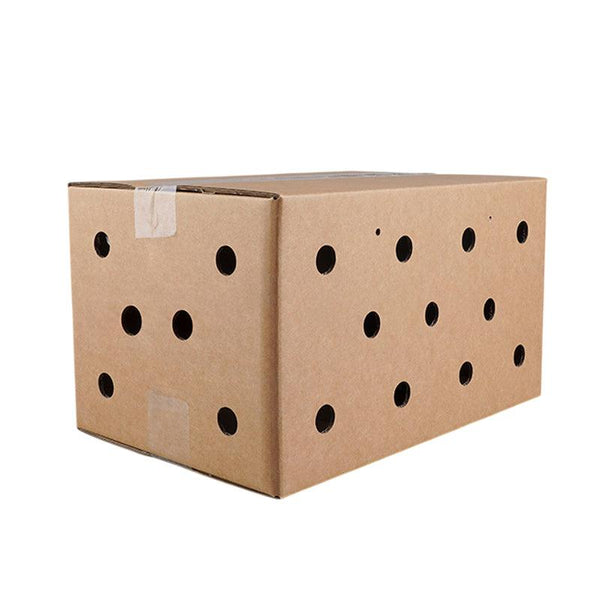 10Pcs Disposable Cardboard Pet Carrier 3 Sizes For Small Animals 38X28x24cm Pet Transport