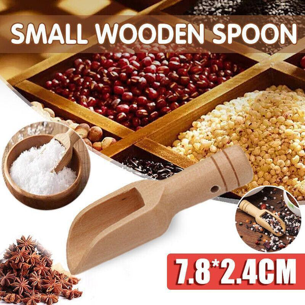 Mini Scoop Small Kitchen Spoon For Salt Sugar Coffee Spice Tea 10Pcs Scoops