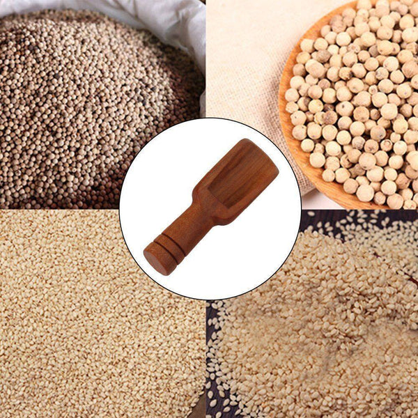 Mini Scoop Small Kitchen Spoon For Salt Sugar Coffee Spice Tea 10Pcs Scoops