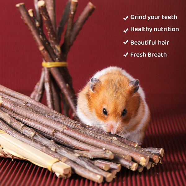 Natural Rabbit Molar Snacks Hamster Branches Sweet Bamboo Grinding Teeth Wood Black Small Animal Supplies