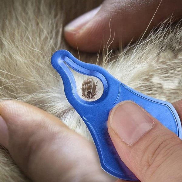 1Pc Tick Removal Tool Pet Dog Lice Clip Cat Flea Remover Dog Grooming