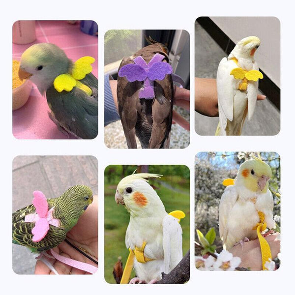 Parrot Bird Harness Leash Adjustable Flying Training Rope atiel Conure Budgie Pink Small Animal Supplies