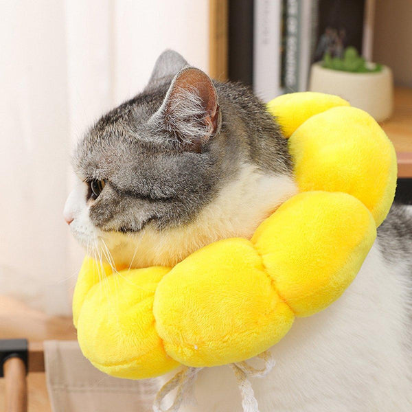 Sunflower Elizabeth Collar For Cats And Dogs Anti Licking Sterilization Headgear M Dog Collars