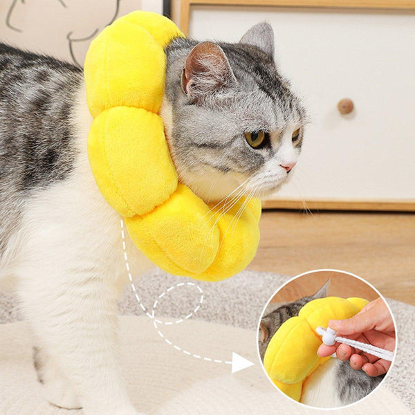Sunflower Elizabeth Collar For Cats And Dogs Anti Licking Sterilization Headgear Dog Collars