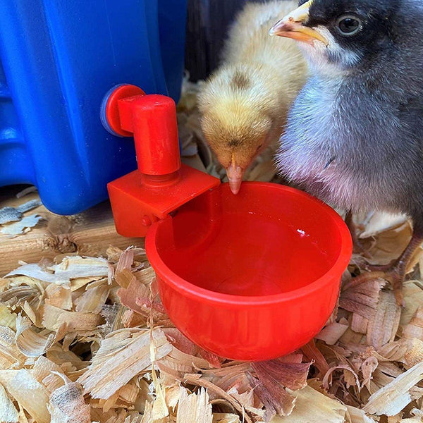 6X Automatic Chicken Water Cup Waterer Poultry Drinking Bowl Feeder Drinker Tool Small Animal Supplies