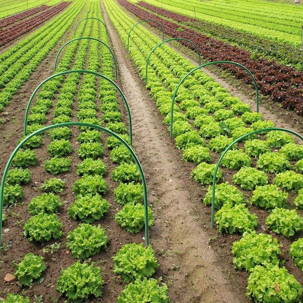 6Pcs Greenhouse Plant Hoops Garden Tunnel Support For Row Covers And Netting Greenhouses