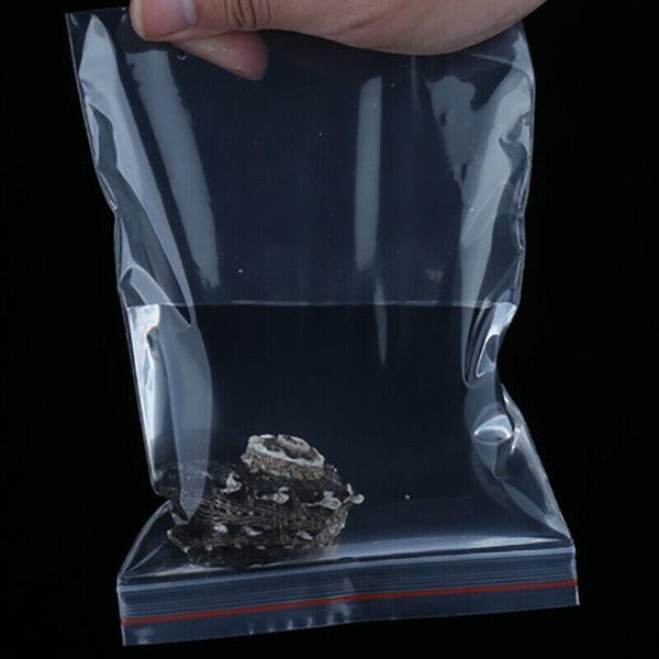 100X Bulk Clear Resealable Pe Plastic Zip Bags 13*19Cm 100Pcs Other Envelopes & Mailers