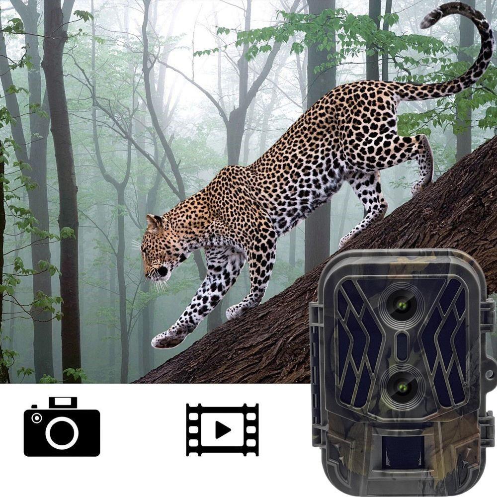 50Mp 4K Dual Lens Infrared Camera For Outdoor Rainfall And Fog Digital Cameras