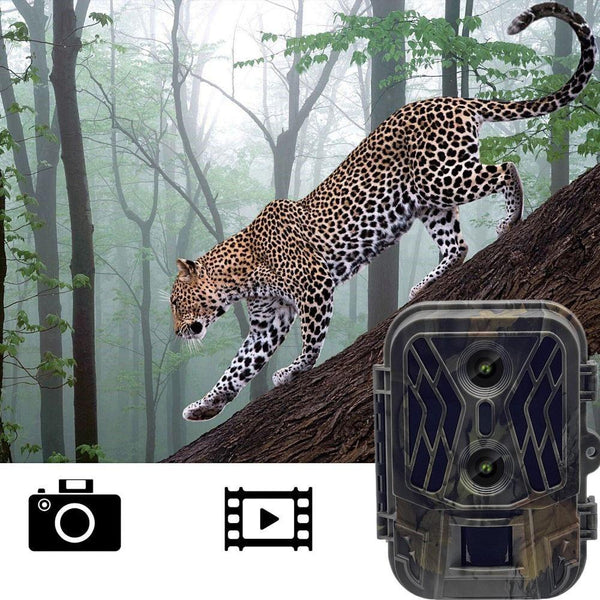 50Mp 4K Dual Lens Infrared Camera For Outdoor Rainfall And Fog Digital Cameras