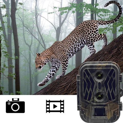 50Mp 4K Dual Lens Infrared Camera For Outdoor Rainfall And Fog Digital Cameras