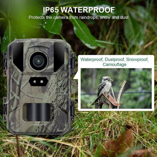 50Mp / 4K Mini Wildlife Camera With Night Vision Digital Cameras