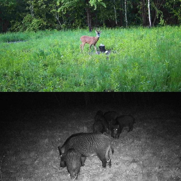 Outdoor Camera With Infrared Night Vision 2.7K Resolution Digital Cameras