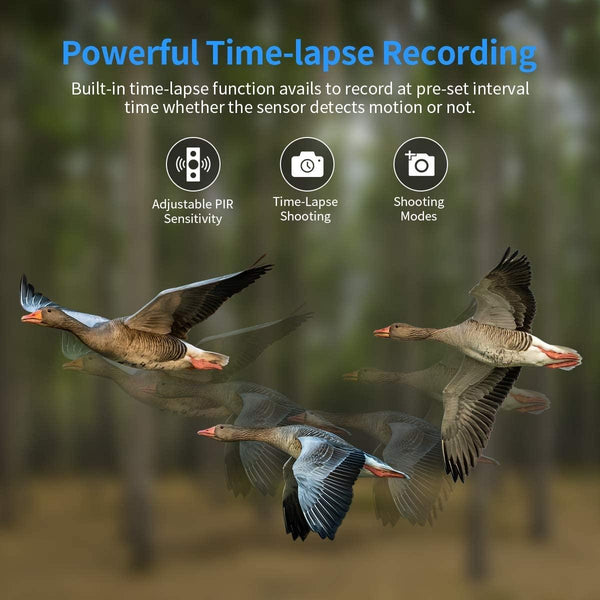 Outdoor 4G Night Vision Trail Camera With Infrared Digital Cameras