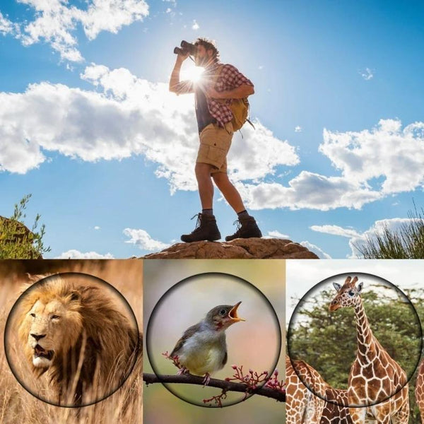 High Definition Monocular Telescope For Outdoor Bird Viewing 16X52 Green Film 16X52 Green Film Binoculars & Monoculars