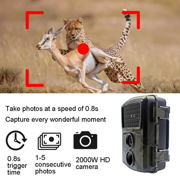 20Mp 1080P Infrared Cameras With 38 Ir Lamps For Hd Monitoring Security Cameras